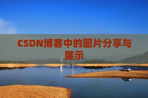 CSDN博客中的图片分享与展示